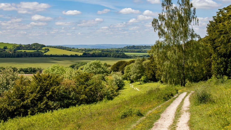 Llwybr ar Watlington Hill, Swydd Buckingham